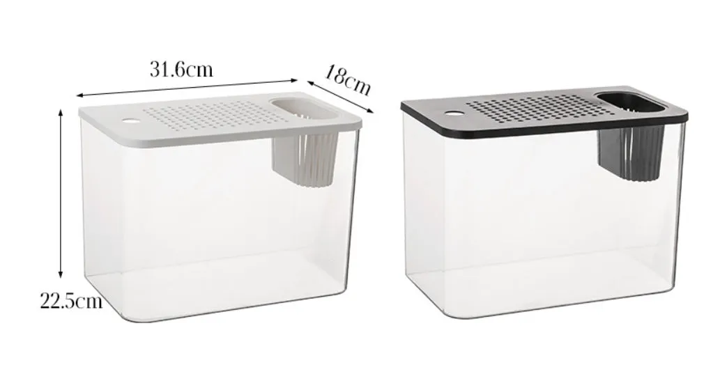 Compact black plastic betta fish tank with a clear cover on a wooden desk.