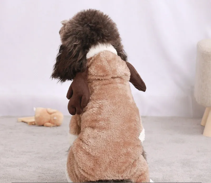 Coral fleece dog costume four-legged cartoon dinosaur style on a dog