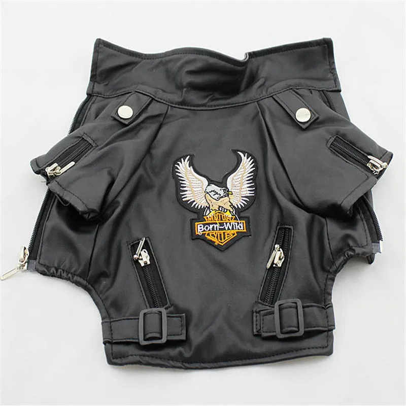Small dog wearing a chocolate black faux leather jacket with embroidered eagle sticker on back