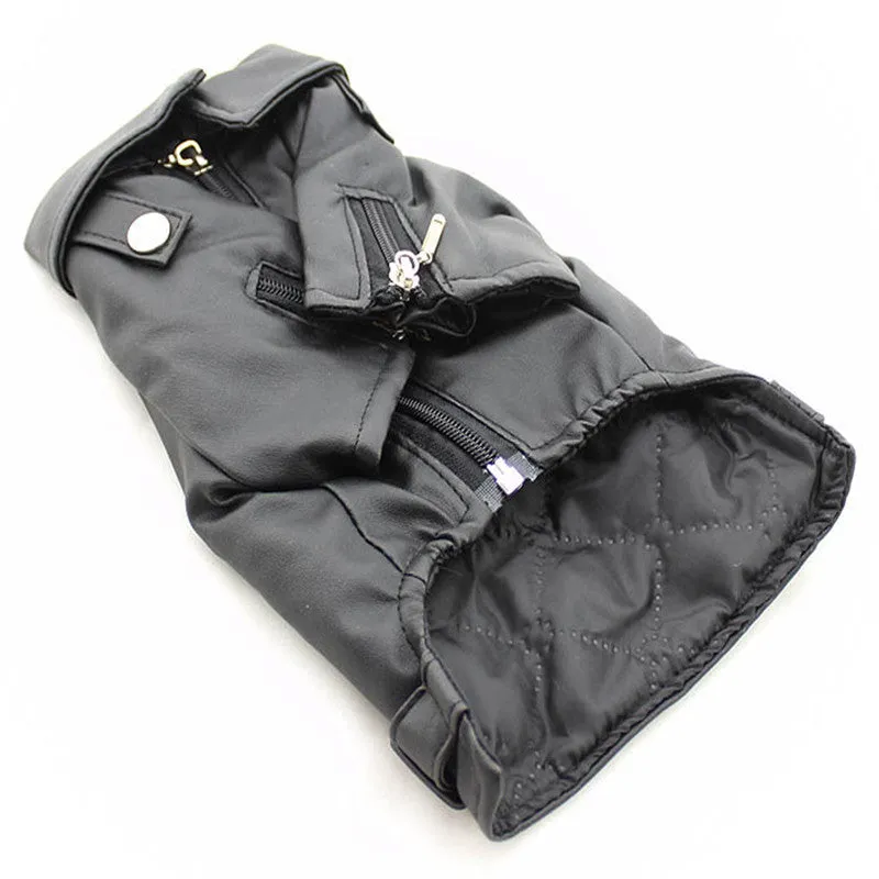 Small dog wearing a chocolate black faux leather jacket with embroidered eagle sticker on back