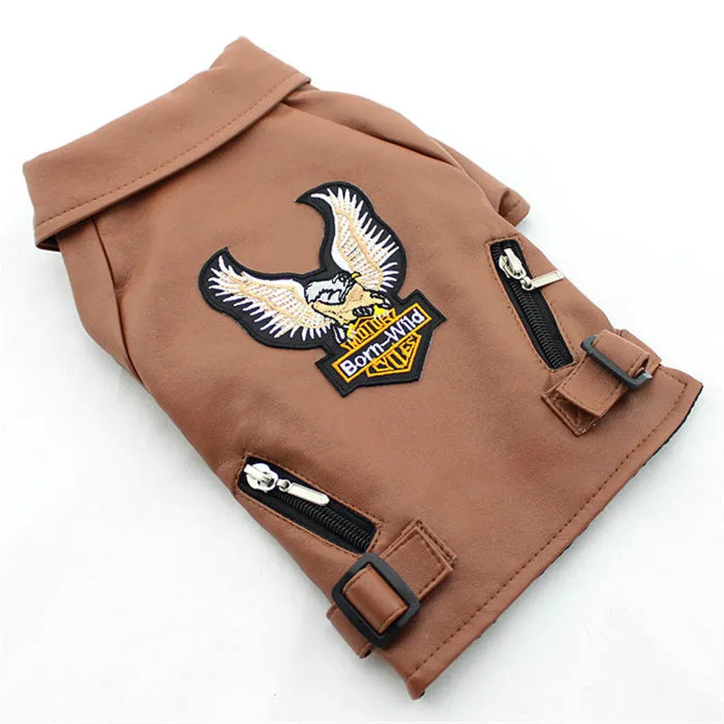 Small dog wearing a chocolate black faux leather jacket with embroidered eagle sticker on back
