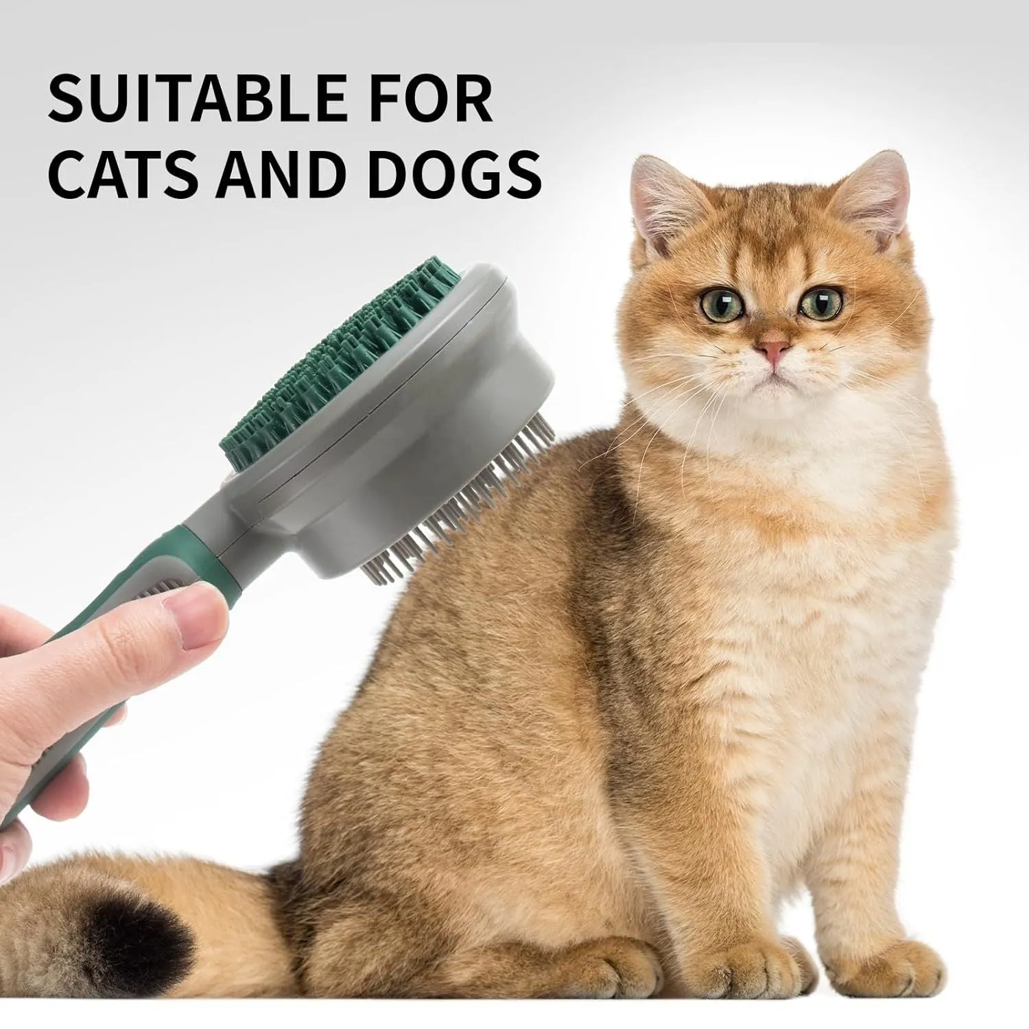 Green and pink 2-in-1 silicone cat hair brush with retractable slicker and massage pins for pet grooming