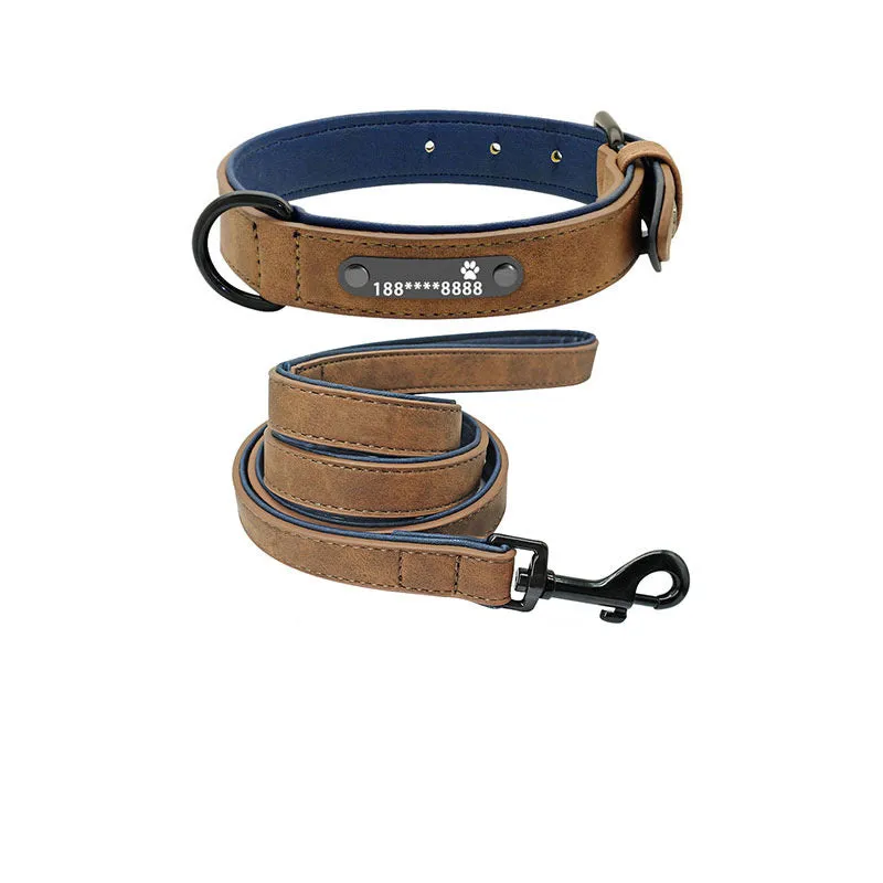 Custom dog collar made of microfiber leather and genuine leather with lettering, available in multiple sizes and colours, with optional tow rope