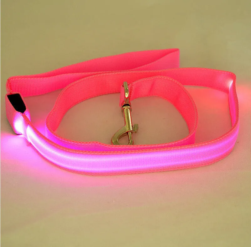 Glowing LED dog leash in blue colour with nylon webbing and buckle clip on a dark background