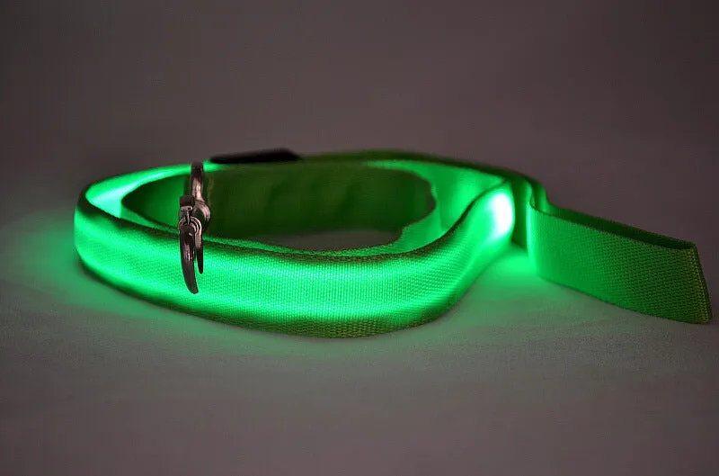 Glowing LED dog leash in blue colour with nylon webbing and buckle clip on a dark background