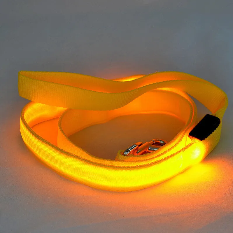 Glowing LED dog leash in blue colour with nylon webbing and buckle clip on a dark background