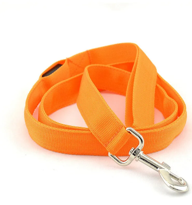 Glowing LED dog leash in blue colour with nylon webbing and buckle clip on a dark background
