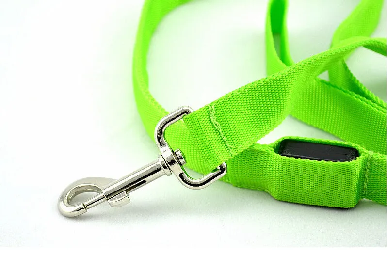 Glowing LED dog leash in blue colour with nylon webbing and buckle clip on a dark background