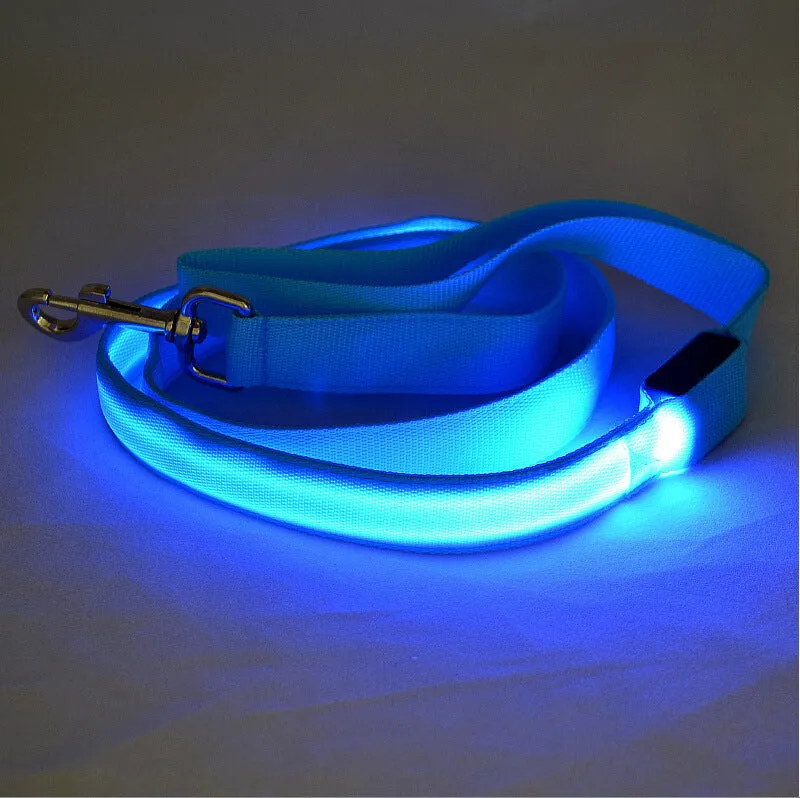 Glowing LED dog leash in blue colour with nylon webbing and buckle clip on a dark background