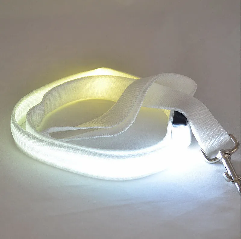 Glowing LED dog leash in blue colour with nylon webbing and buckle clip on a dark background