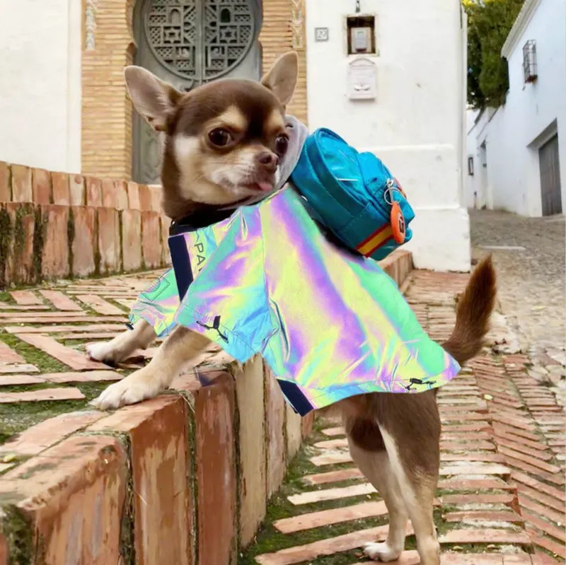 Silver microcrystalline reflective dog coat on a dog, waterproof and windproof, with high-reflective fabric visible in low light.