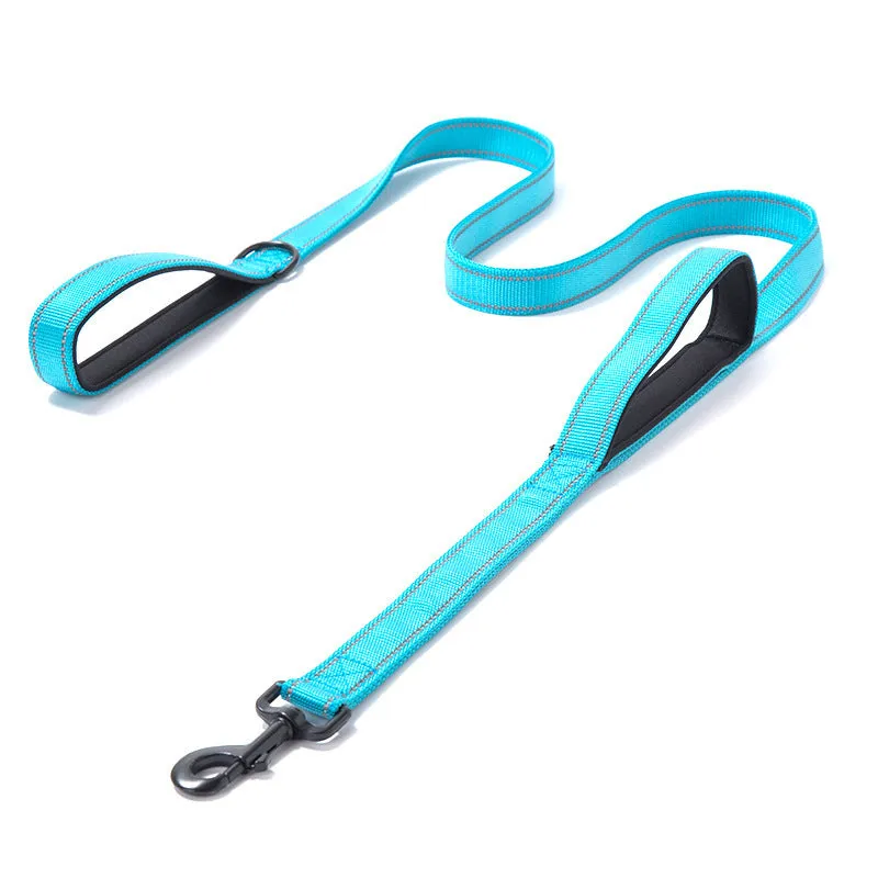 Reflective double-thickened nylon dog leash in 2.5cm width, available in multiple colours on a plain background