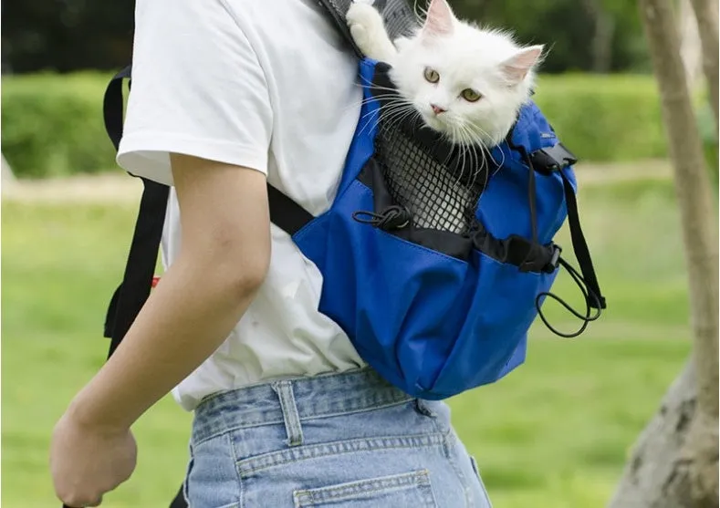 Ventilated pet travel backpack in black with mesh straps and safety buckle for cats and small dogs
