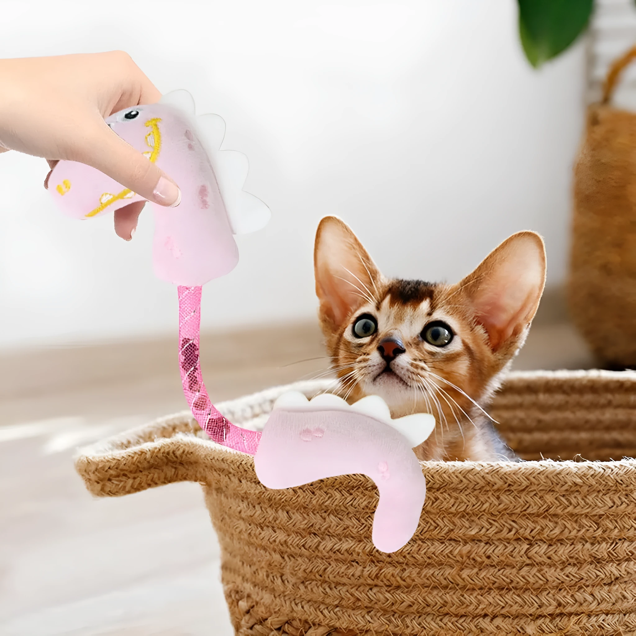 Set of four cat toys including plush, rope, and spring toys in pink, purple, and yellow colours