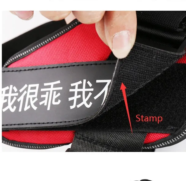 Personalised dog harness with dog name, reflective nylon adjustable chest strap, and handle for outdoor use