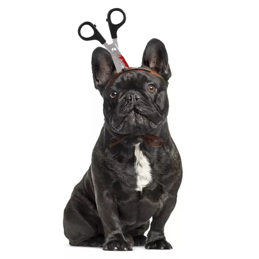 Pet dog cat Halloween cloth headdress with adjustable rope, S and M sizes, printed design