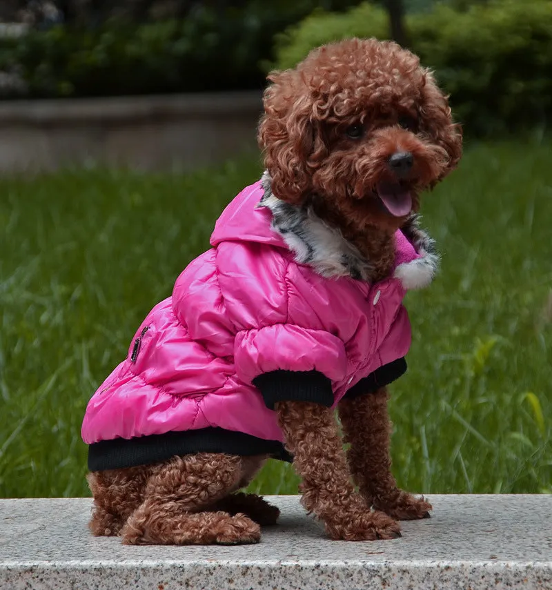 Cotton padded pet clothes with zipper closure in rose red colour for small dogs