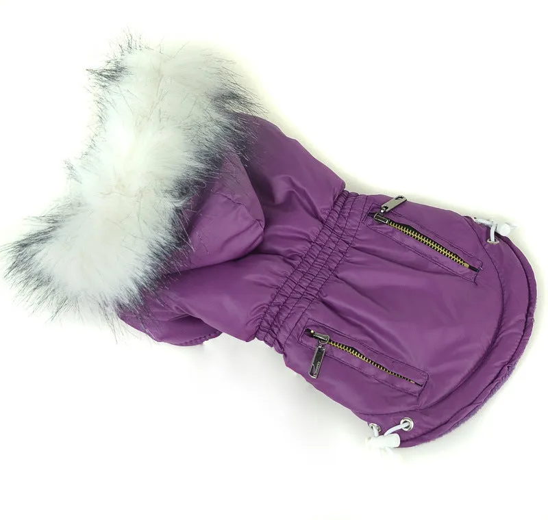 Cotton padded pet clothes with zipper closure in rose red colour for small dogs