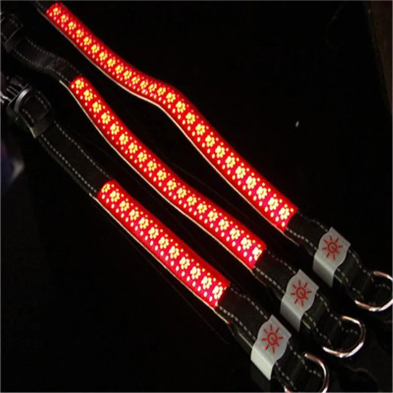 LED light pet collar USB rechargeable adjustable 40-60cm length 2.5cm width for dogs cats