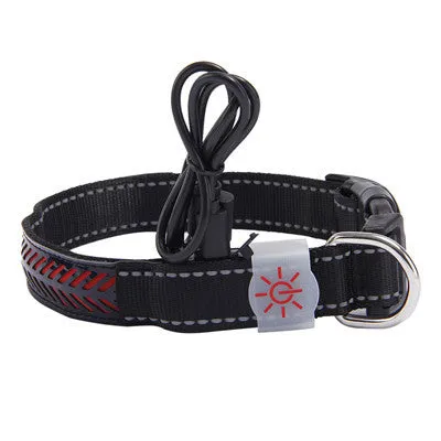 LED light pet collar USB rechargeable adjustable 40-60cm length 2.5cm width for dogs cats