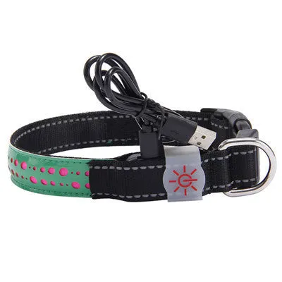 LED light pet collar USB rechargeable adjustable 40-60cm length 2.5cm width for dogs cats