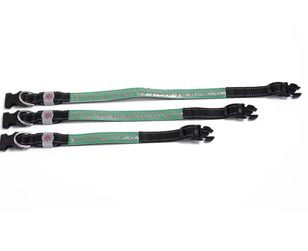 LED light pet collar USB rechargeable adjustable 40-60cm length 2.5cm width for dogs cats