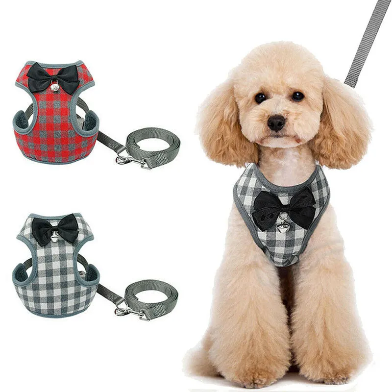 Grey cloth dog leash and chest strap set with adjustable buckle on white background