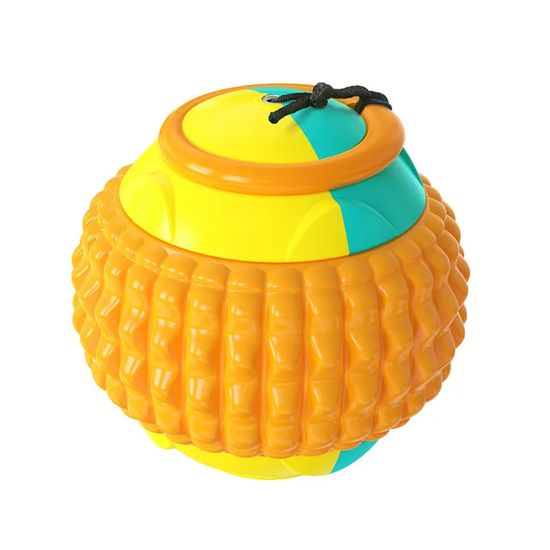 Blue ABS plastic dog training ball with retractable drawstring and molar cleaning bumps