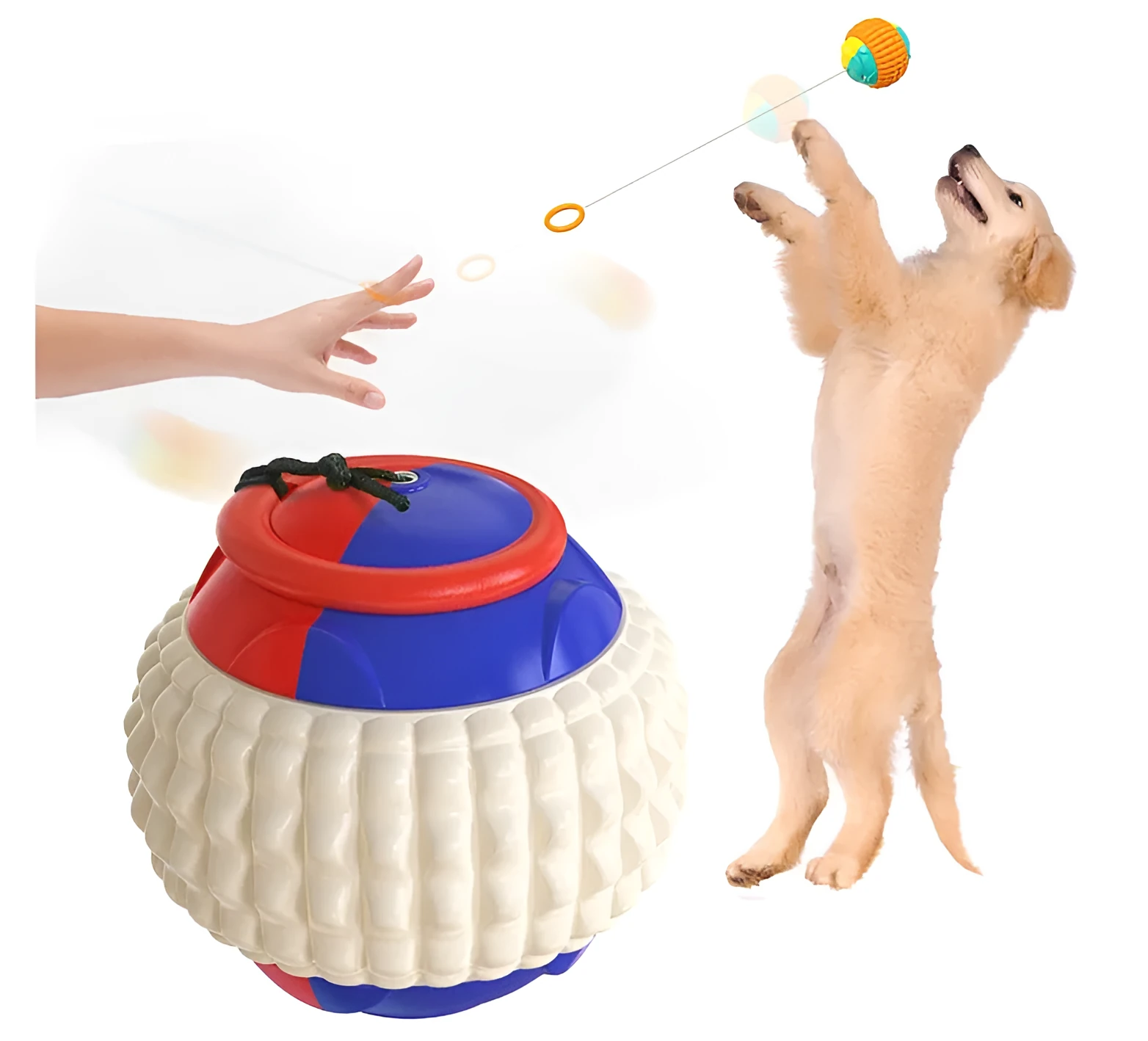 Blue ABS plastic dog training ball with retractable drawstring and molar cleaning bumps
