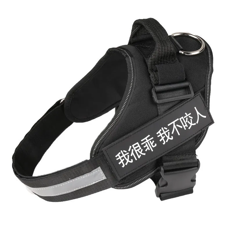 Nylon dog chest harness and leash set in red, with adjustable straps and traction rope on a white background