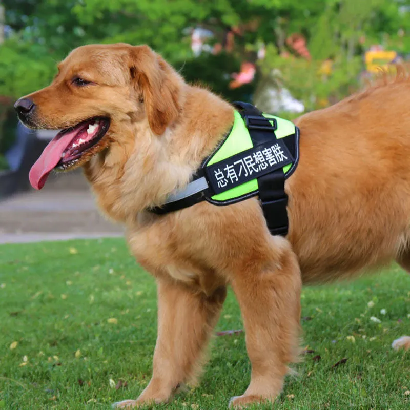 Nylon dog chest harness and leash set in red, with adjustable straps and traction rope on a white background