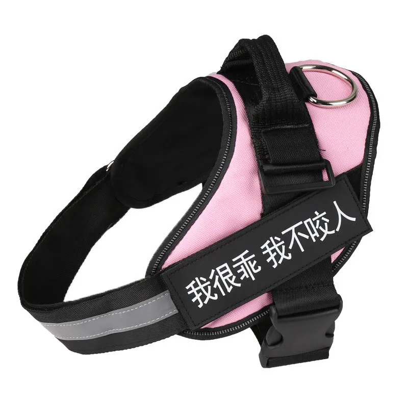 Nylon dog chest harness and leash set in red, with adjustable straps and traction rope on a white background