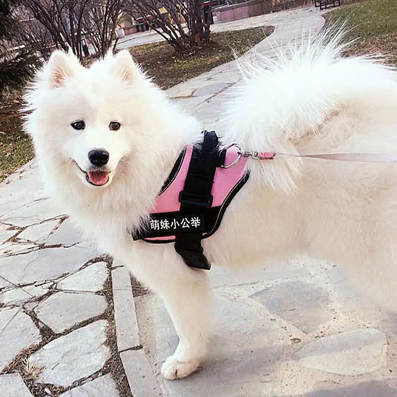 Nylon dog chest harness and leash set in red, with adjustable straps and traction rope on a white background