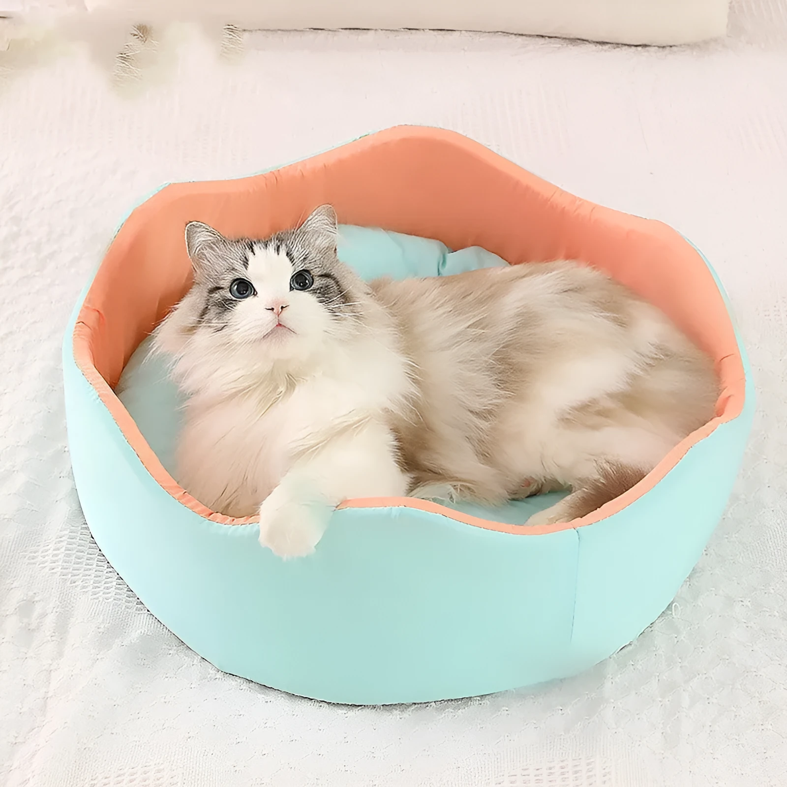 Breathable ice silk pet dog bed nest in green orange colour, small diameter 40cm