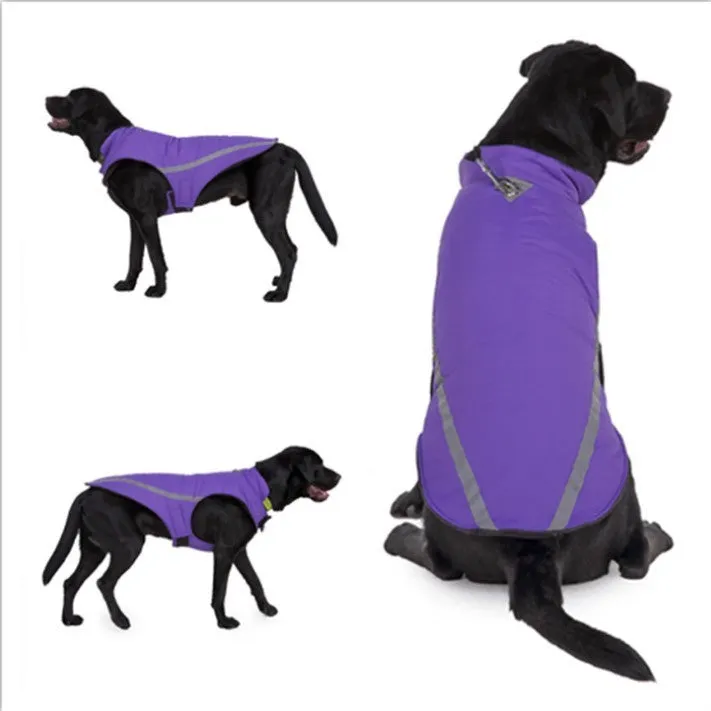 Cotton dog winter coat in black on a small dog standing outdoors