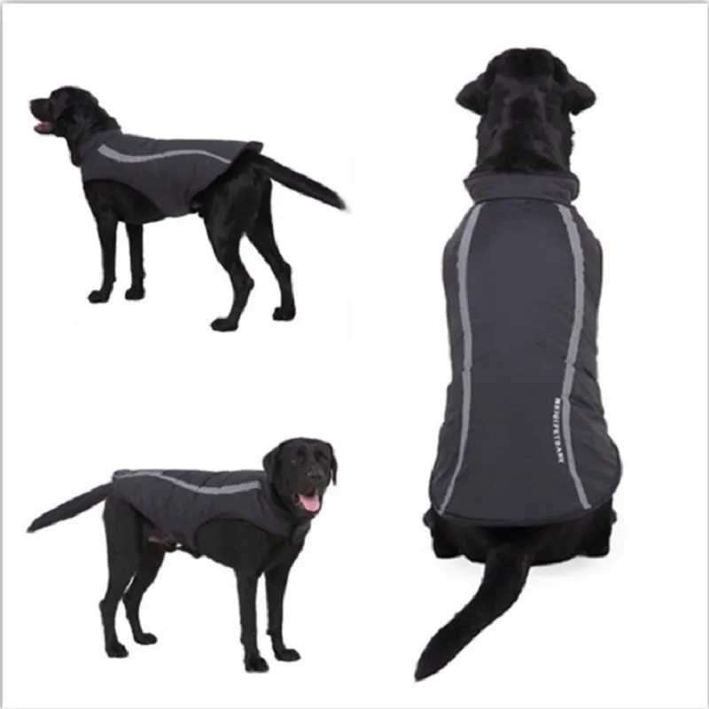 Cotton dog winter coat in black on a small dog standing outdoors