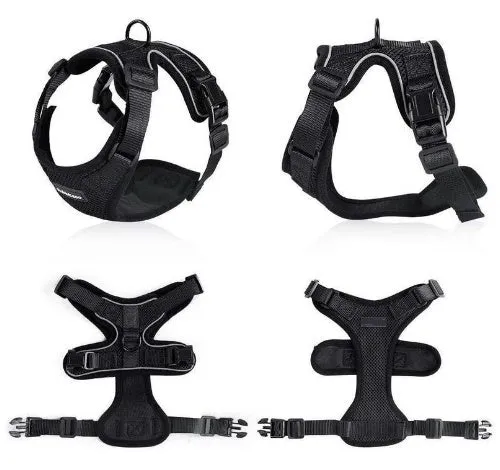 Escape proof cat vest harness in black with reflective trim and car seat belt adapter leash