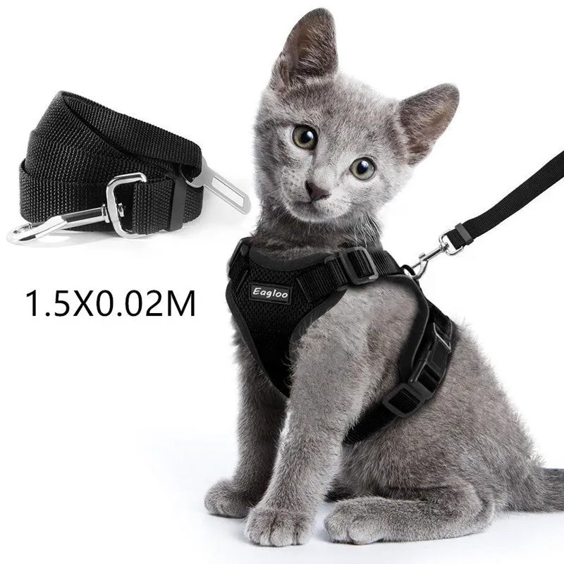 Escape proof cat vest harness in black with reflective trim and car seat belt adapter leash