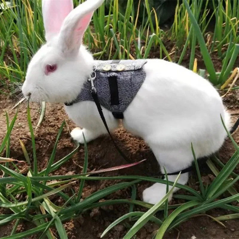 Grey cloth rabbit leash and dress set with chest strap for small pets