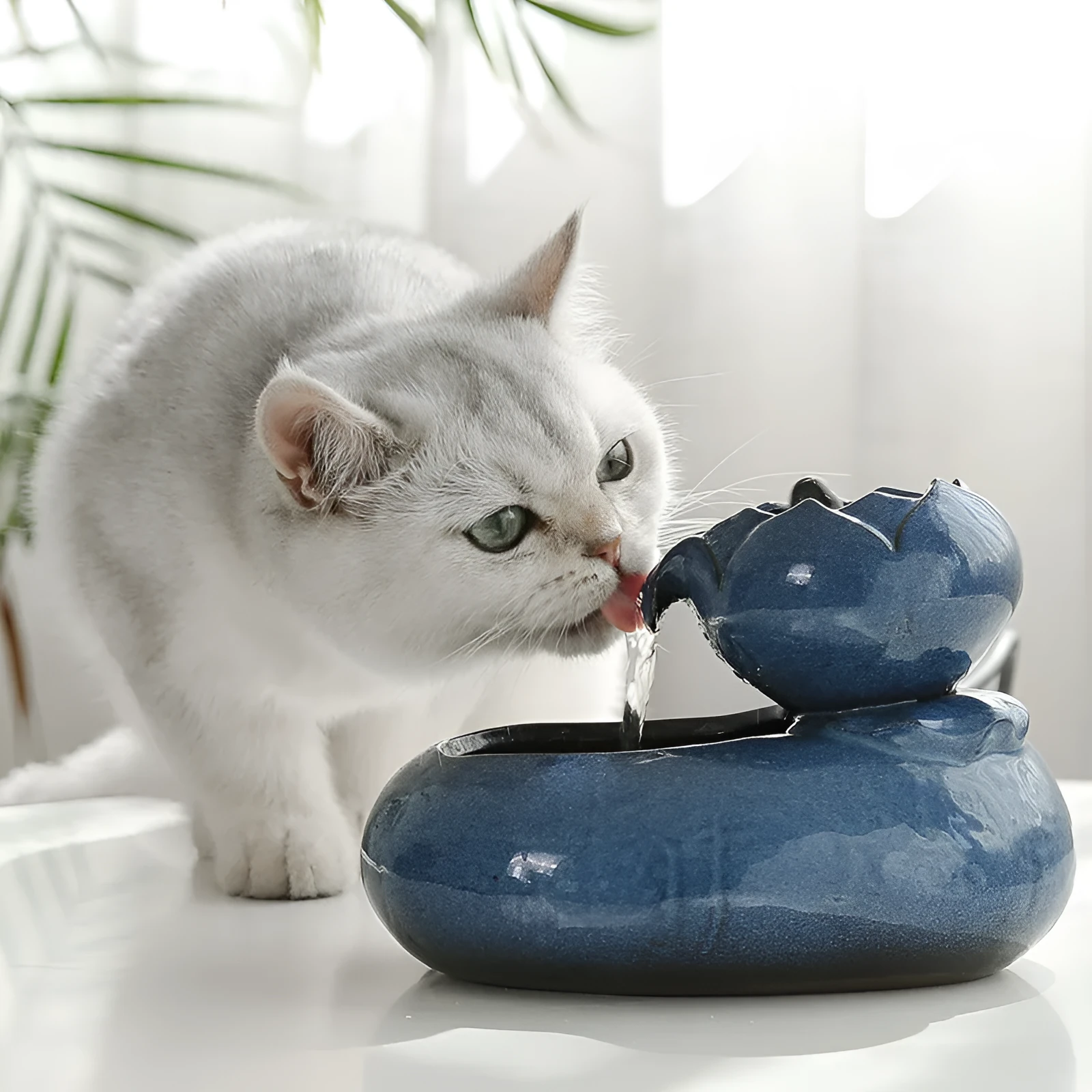 Resin cat water feeder in black with dimensions 19x10.5x20 cm for indoor cats