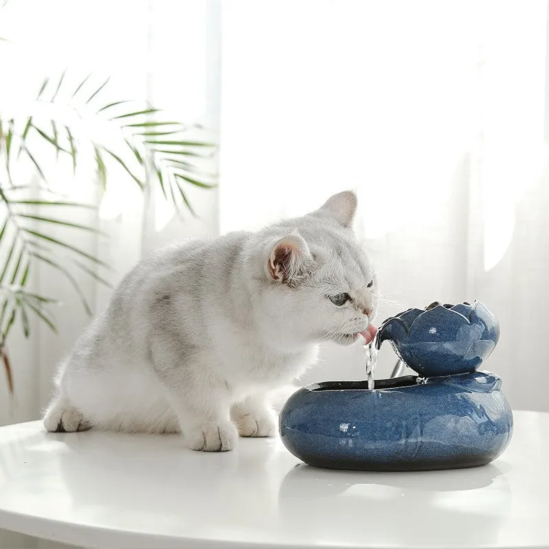 Resin cat water feeder in black with dimensions 19x10.5x20 cm for indoor cats