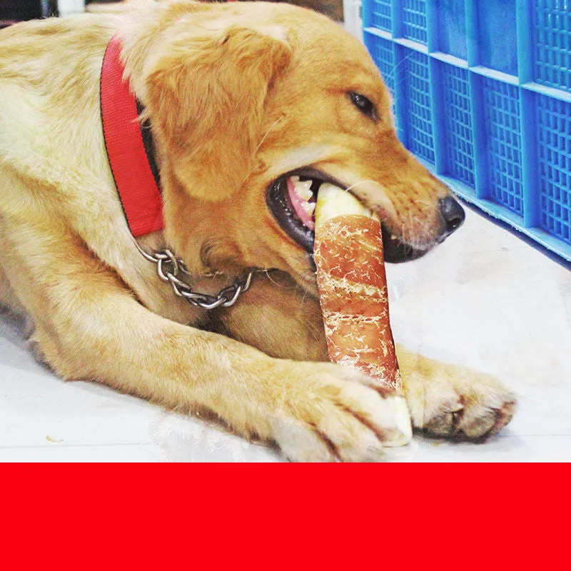 Dog teeth cleaning bones with chicken wrap around cowhide roll on white background