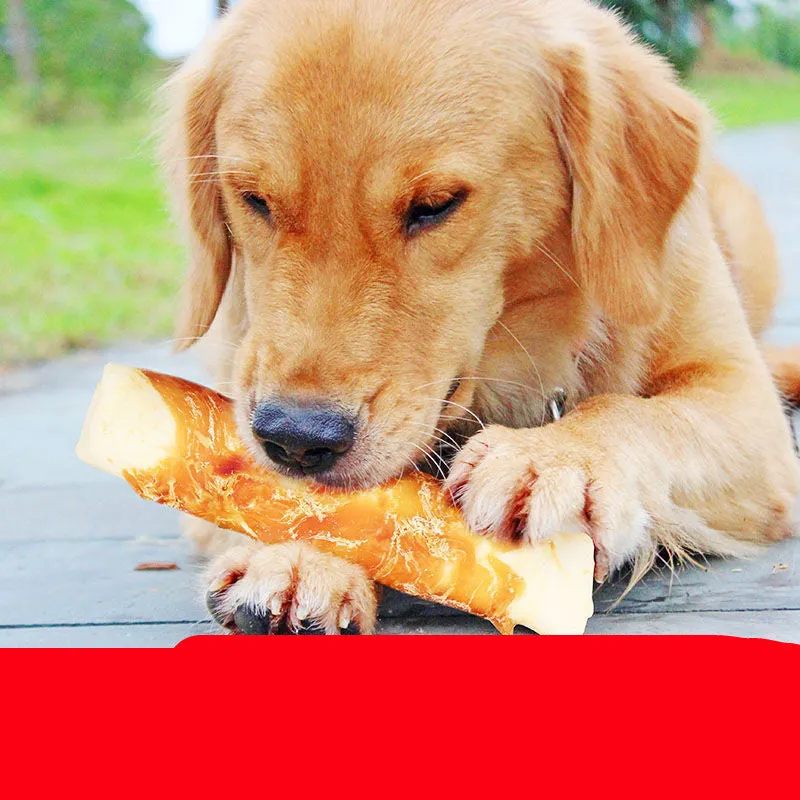 Dog teeth cleaning bones with chicken wrap around cowhide roll on white background