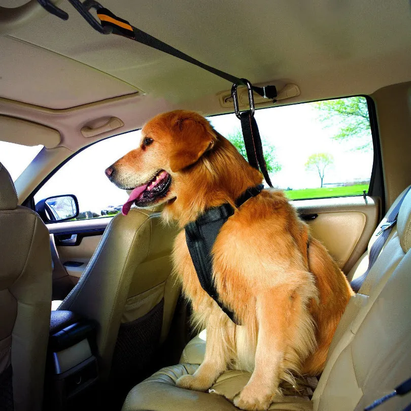 Orange nylon pet safety belt dual-purpose car lanyard with clip, for small to medium dogs