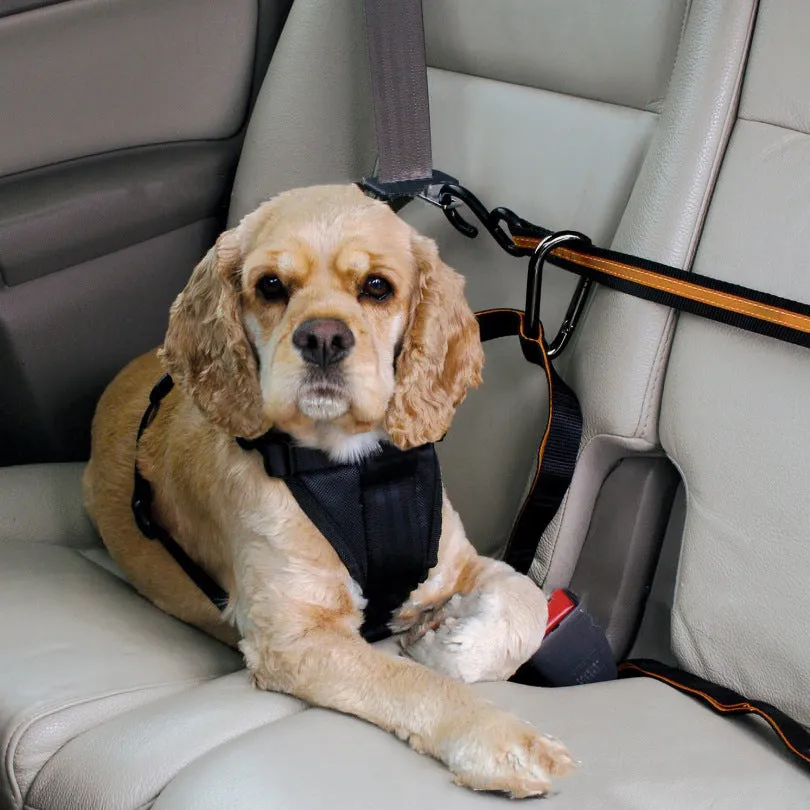 Orange nylon pet safety belt dual-purpose car lanyard with clip, for small to medium dogs