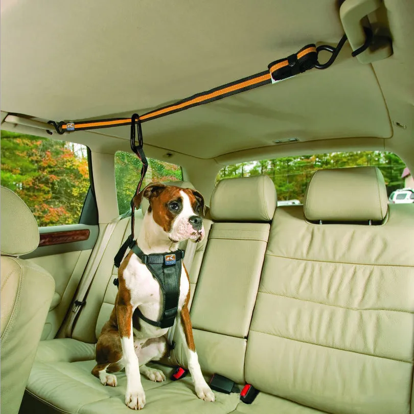 Orange nylon pet safety belt dual-purpose car lanyard with clip, for small to medium dogs