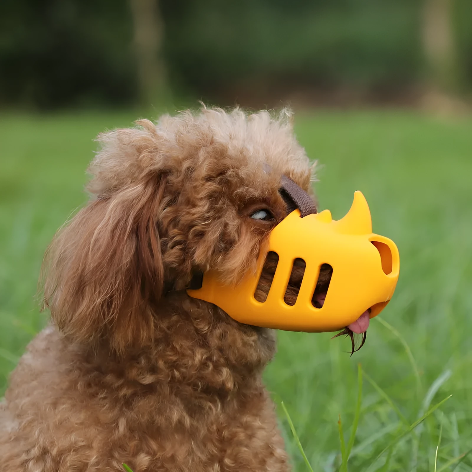Silicone pet muzzle anti-bite in sky blue for medium and large dogs with breathable air-hole design