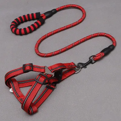 Nylon dog leash and chest harness set in green with adjustable strap and metal clip on white background
