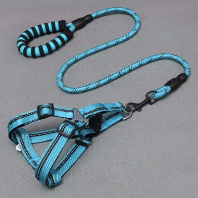 Nylon dog leash and chest harness set in green with adjustable strap and metal clip on white background