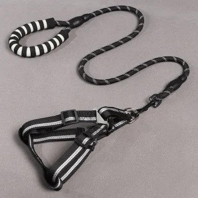 Nylon dog leash and chest harness set in green with adjustable strap and metal clip on white background